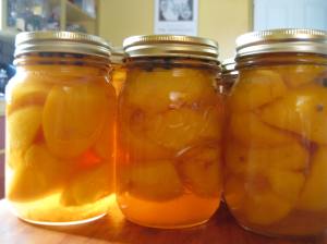 Canning peaches